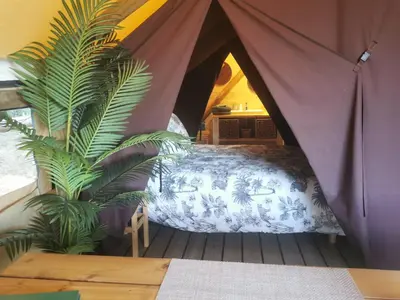 a bedroom with a bed in a tent with a plant at Le lodge cocooning in Ansignan