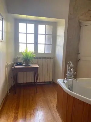 a bathroom with a tub and a plant on a table at Chateau de Montcuquet in Lautrec
