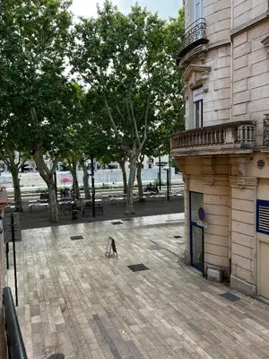 a dog standing on a sidewalk next to a building at Cours République in Narbonne