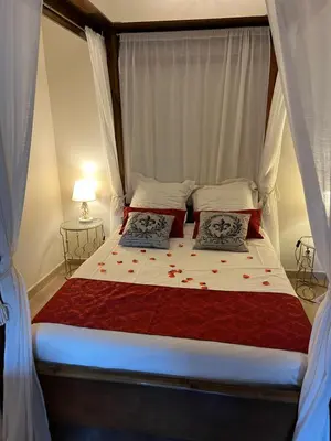 a bed with two pillows on it in a bedroom at La Halte Louis XIII in Bram