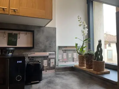 a kitchen with potted plants and a window with a train at jouxtant le canal du midi in Trèbes