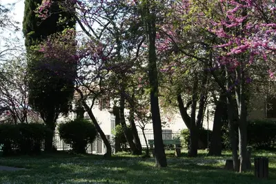 a park with trees and a bench in front of a building at Castel chambres in Malves-en-Minervois