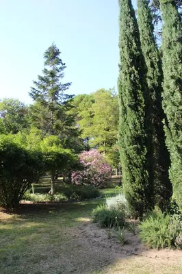a garden with trees and flowers and a large bush at Castel chambres in Malves-en-Minervois