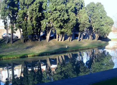 a reflection of trees in a body of water at Apartment The Address in Carcassonne
