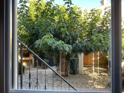 a large tree in front of a house at Villa Reine du Sud proche des Grands Buffets in Narbonne