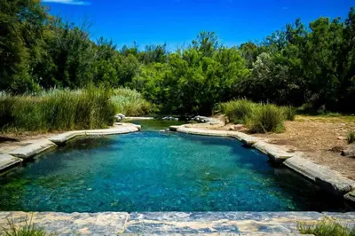 a pool of water in a field with trees at La Maison Louis - moderne & familiale in Lapalme