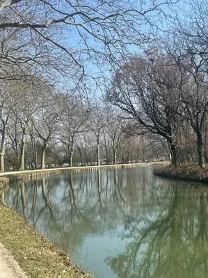 a pond in a park with trees in the background at Studio - Centre de Villefranche de Lauragais in Villefranche-de-Lauragais