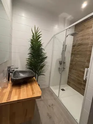 a bathroom with a shower and a sink and a plant at Hidden Oasis - Maison de caractère avec piscine in Azille