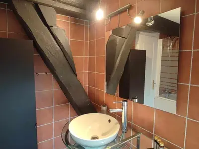 a bathroom with a toilet and a mirror at Charme de Victor ConciergerieDameCarcas in Carcassonne