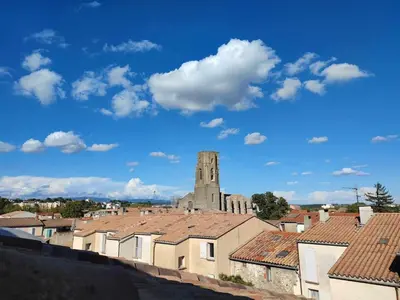 a view of a city with a church and roofs at Charme de Victor ConciergerieDameCarcas in Carcassonne