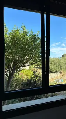 a window with a view of a tree at Chambre Ginkgo au Domaine de l'Aven in Villeneuve-Minervois