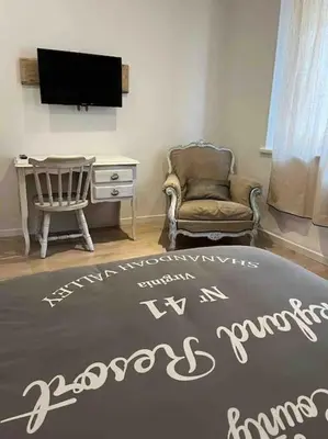 a living room with a tv and a chair and a rug at Les Suites du Palais in Carcassonne