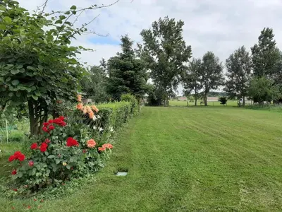 a garden with red flowers and trees in a field at Gîte à la ferme in La Tour-du-Crieu