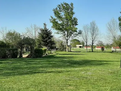 a field of green grass with trees and buildings at Gîte à la ferme in La Tour-du-Crieu