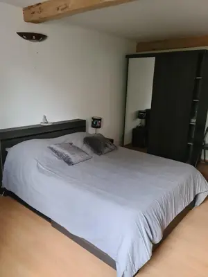 a bedroom with a large white bed in a room at Gîte à la ferme in La Tour-du-Crieu