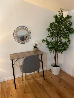 a table with a chair and a mirror and a plant at Elegant and Charming Townhouse with roof terrace in Limoux