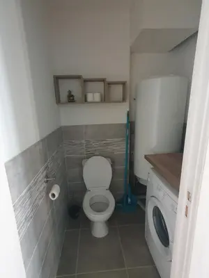 a bathroom with a toilet and a washing machine at Jolie T3 avec terrasse in Carcassonne