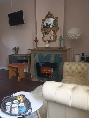 a living room with a couch and a fireplace at Mas des 2 paons in Villedaigne