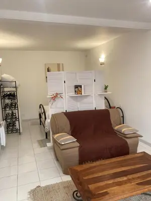 a living room with a couch and a table at Appartement à deux pas du centre ville in Limoux