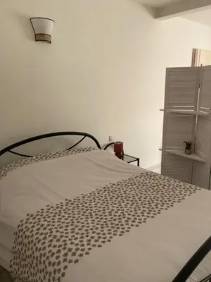 a bedroom with a bed with a black and white bedspread at Appartement à deux pas du centre ville in Limoux