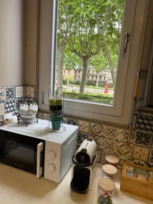 a kitchen with a blender on top of a microwave at Le carré Gambetta in Carcassonne