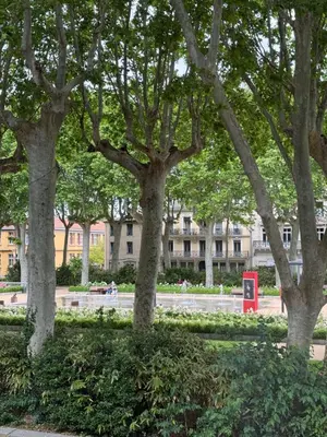 a group of trees with a building in the background at Le carré Gambetta in Carcassonne