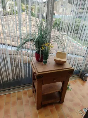 two plants on a table in front of a window at Gîte et Chambre d'hôte Entre Tilleul et Agrumes in Vinassan
