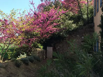 a garden with pink flowers and plants next to a building at Château Pech-Celeyran in Salles-dʼAude