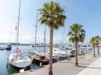 a group of boats docked in a marina with palm trees at Studio cabine avec piscine et vue port à Gruissan - FR-1-409-199 in Gruissan