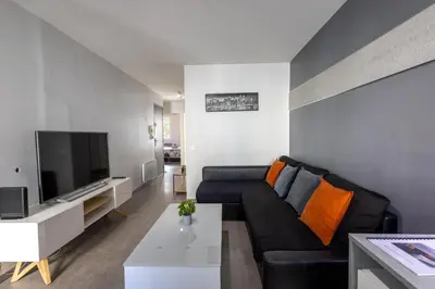 a living room with a couch and a tv at L'Évêché - T3 Spacieux & Traversant en Hypercentre in Castres
