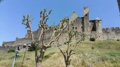 a castle on top of a hill with a tree at My Quiet Place near Carcassonne in Carcassonne