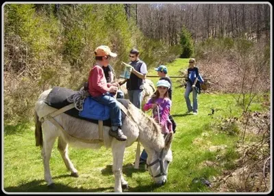 a group of people riding on a donkey at Gite été in Le Soulié
