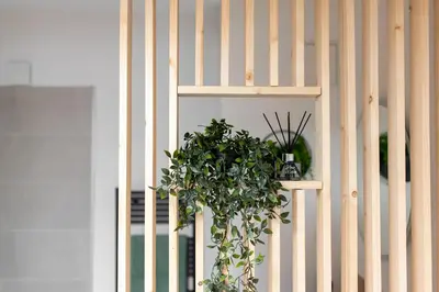 a potted plant sitting on a white wall at Le Blackwood in Mazamet