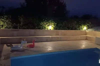 a swimming pool with a toy animal next to a wall at Charmant studio avec piscine in Villemoustaussou