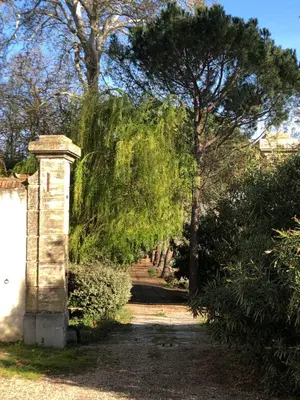 a pathway with trees and a stone pillar at Terrasse avec vue Domaine Viticole in Sallèles-dʼAude