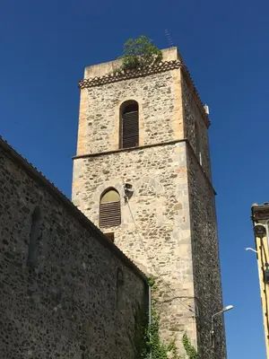 a tall tower with a plant on top of a building at Les Remparts in Caudiès-de-Fenouillèdes