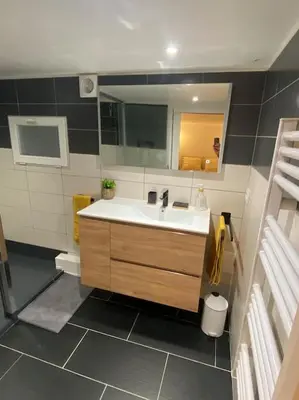 a bathroom with a sink and a mirror at Charmant appartement - proche château cité in Carcassonne