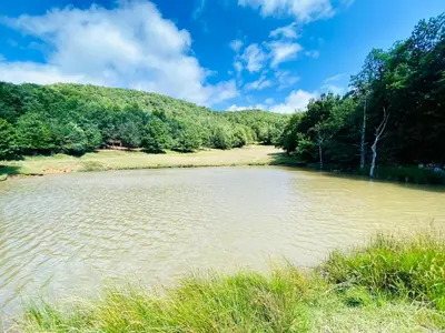 a large body of water with trees in the background at Maison confortable au cœur de la nature près de Camps-sur-l'Agly in Camps-sur-lʼAgly