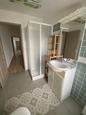 a bathroom with a sink and a shower at Appartement Cité Médiévale Carcassonne in Carcassonne
