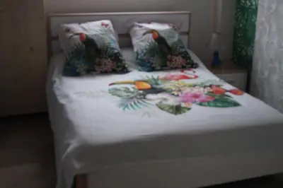 a bed with a white comforter with birds on it at Repos en campagne in Pexiora