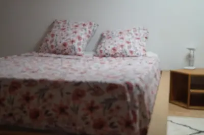 a bedroom with a bed with a flowered blanket and pillows at Repos en campagne in Pexiora
