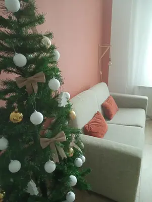 a christmas tree in a living room with a couch at La maison de Camille climatisation parking privé WIFI in Carcassonne