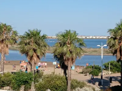 a beach with palm trees and a body of water at Appartement vue mer, plage à 20m in Gruissan