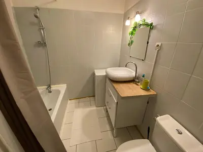 a bathroom with a toilet and a sink and a shower at Au pied de la cité, T3 au calme in Carcassonne