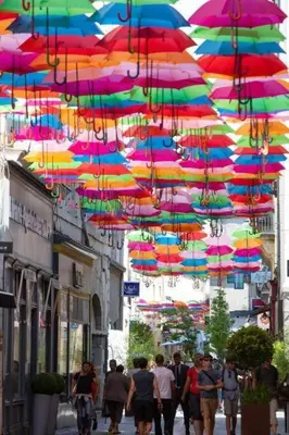 a group of people walking down a street under umbrellas at Studio au pied de la cité in Carcassonne