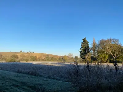 a field of grass with a tree in the distance at Cosy T3 dans corps de ferme l écureuil in Vieillevigne