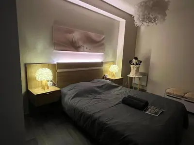 a bedroom with a bed with a mirror above it at Plumes Résidence de l’Agout in Castres