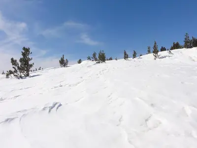 a snow covered hill with trees on top of it at Chalet with garden in the Pyrenees in Roquefort-de-Sault