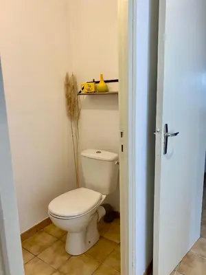 a bathroom with a white toilet and a shelf at Confortable T2 avec jardin aménagé in Lézignan-Corbières