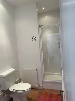 a bathroom with a toilet and a walk in shower at The Forge Esperaza in Espéraza